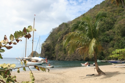 St Lucia Feb 2011